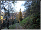 foto Da Rocca di Arsie al Col di Baio